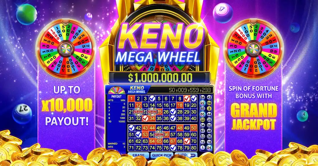 4455 bet betf cassino on-line